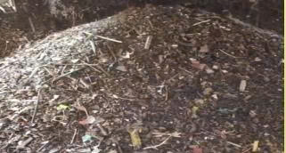 Sản phẩm đầu ra