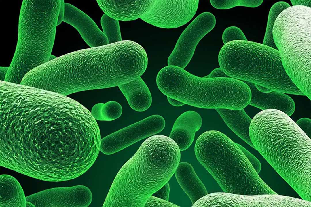 Công nghệ Ủ Men Vi Sinh